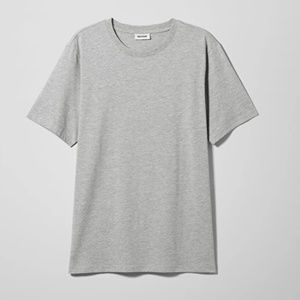 FRANK T-Shirt: GREY